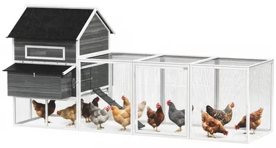 Productafbeelding van Houten kippenhok met ren, legnest, afneembaar asfaltdak, lade voor 4-6 kippen, 347x160x150 cm, donkergrijs