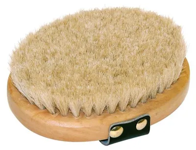 Immagine prodotto di Spazzola di coccole Kerbl (ovale) con dorso in legno, crine "Brush&Co"