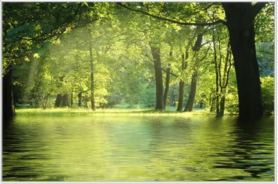 Produktbild von Wallario Wandbild Idyllischer See im Wald bei Sonnenschein, Größe: 61 x 91,50 cm, Poster mit weißem Aluminiumrahmen