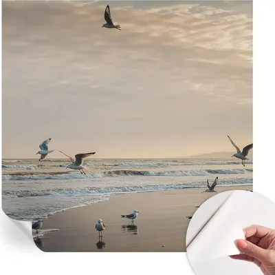 Produktbild von Selbstklebende Wandtapete - Dekorative Tapete für Wohnzimmer - Klebefolie für Wandbilder - Tapetenfolie für Wanddekoration - 250x250 cm - Ruhe am Meer