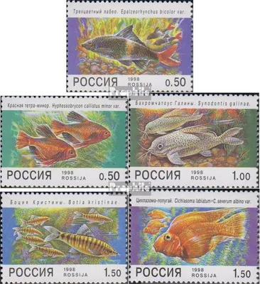 Produktbild von Briefmarken Russland 1998 Mi 646-650 (kompl.Ausg.) postfrisch Zierfische