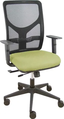 Produktbild von Bürostuhl Piqueras y Crespo 10CRN65 grün
