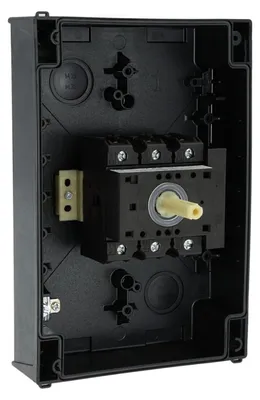 Obrázek produktu pro Eaton P3-63/I4-SI/HI11, Otočný spínač, 2P, Šedá, Červená, IP65, -25 - 40 °C