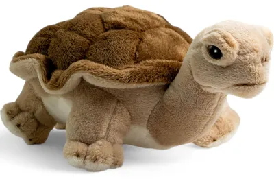 Image de Carl Dick Tortue, Tortue terrestre env. 21cm 2763 Doudou, peluche, animal en peluche