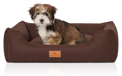 Produktbild von Knuffelwuff Lotte Hundebett Velours S 70 x 50 cm Braun