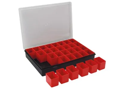 Obrázok produktu pre Tayg - Organizér - 330 x 247 x 54 mm - 32 odnímateľných zásobníkov - 4,4 l