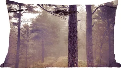 Produktbild von MuchoWow® Zierkissen Sofakissen Wohnzimmer Dekokissen 50x30 cm Nebel - Herbstdekoration - Natur - Wald - Wohnzimmerdekoration - Polster mit Photo