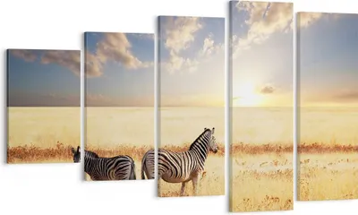 Produktbild von Bild auf Leinwand - Leinwandbild - Zebra tier gestreift savanne - 100x60cm - Wand Bild - Wanddeko - Leinwanddruck - Bilder - Kunstdruck - Wanddekoration - Leinwand bilder - Wandkunst - EG100x60-2596