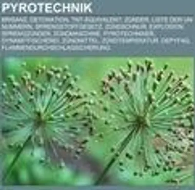 Produktbild von Pyrotechnik
