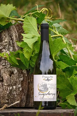Image de Vin BLANC EST ! EST !! EST !!! de MONTEFIASCONE - SUGODEROGO 2024