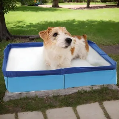 Produktbild von Zusammenklappbares Planschbecken aus PVC für Hunde – nicht aufblasbare Wanne für Welpen, Katzen und Kleintiere
