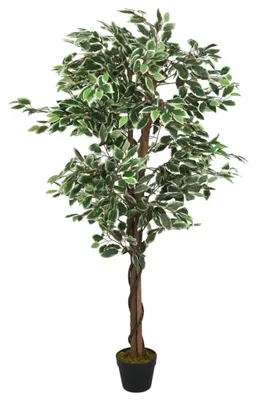 Imagen del producto de Ficus artificial de 200 cm con 1260 hojas