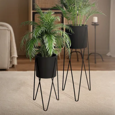 Two black plant stands with plants on a carpeted floor in a room.