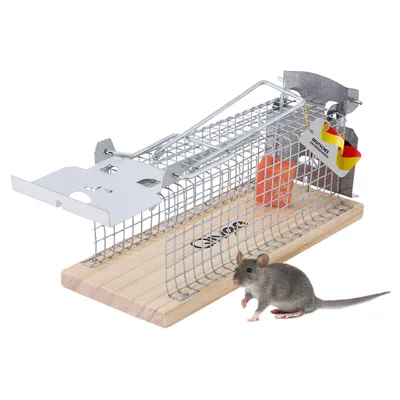 A live-catch mouse trap with a mouse in front of it.