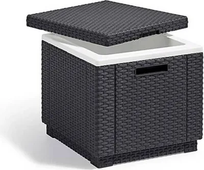 Immagine prodotto di ALLIBERT by KETER Glaciere Ice Cube Graphit 405981