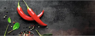 Produktbild von Küchenrückwand mySpotti Profix Chili 160 x 60 cm PX-16060-749-HB