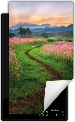 Produktbild von DarHaus Herdabdeckplatte 1 teilig 30x52 cm Anti Rutsch Matte Aufrollbar, Landschaft - Blumen