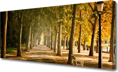 Produktbild von Tulup Leinwand-Bilder 125x50 Wandbild Canvas Kunstdruck Parkallee Landschaft