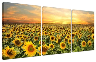 Produktbild von Solidchoice – Set mit 3 gerahmten Wanddekorationen mit Sonnenblumenmotiven