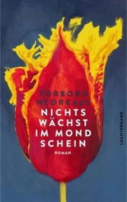 Image de Nichts wächst im Mondschein