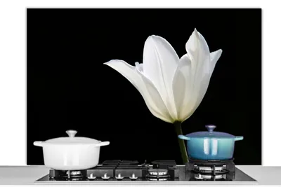 Obrázek produktu pro KitchenYeah® Odstřik kuchyňské linky - Odstřik kuchyňské linky - Ochrana stěny sporáku a dřezu - Bílý tulipán 120x80 - Alu-Dibond (alternativa ke skleněnému odstřiku) - Tepelně odolný - Odstřik sporáku - Dlaždice