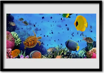 Produktbild von Bild 100x70 MDF-Rahmen Wandkunst Korallenriff-Fische Natur