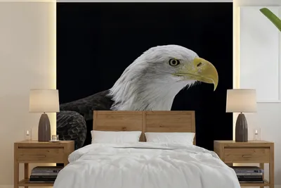 Produktbild von MuchoWow® Fototapete für Wohnzimmer oder Schlafzimmer Wandtapete Vinyl Motivtapete Adler - Vogel - Schnabel - Schwarz - 220x220 cm - Tapeten