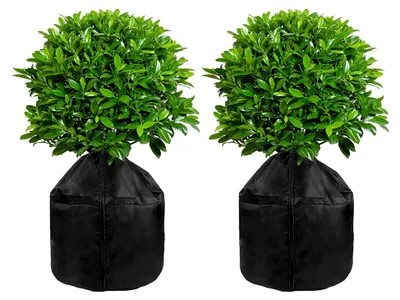 Produktbild von 2 Stück Pflanzen Winterschutz für Töpfe, 65 x 70 cm Frostschutzhülle für Pflanzen, Winterlicher Frostschutz für Obstbäume und Topfpflanzen, Schwarz