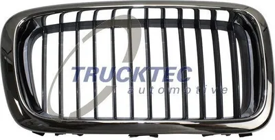 Produktbild von TRUCKTEC AUTOMOTIVE 08.62.262 Kühlergrill Frontgrill für BMW 7 (E38) Rechts