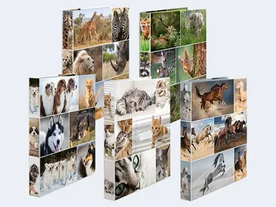 Produktbild von Sortiment Ringbuch A4 Karton 2D Tiere