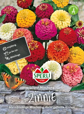 Immagine prodotto di Miscela di zinnie Liliput | Semi di zinnia di Sperli