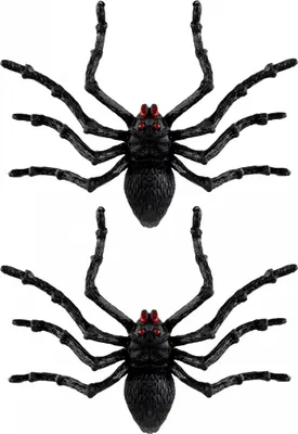 Produktbild von Knorrige schwarze Halloween Spinnen 2 Stück