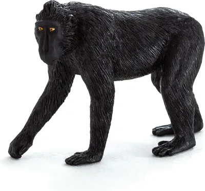 Obrázok produktu pre Mojo Fun Black Crested Macaque, 3 rok / roky, Wildlife, Čierna, Ružová, Polyvinylchlorid (PVC)