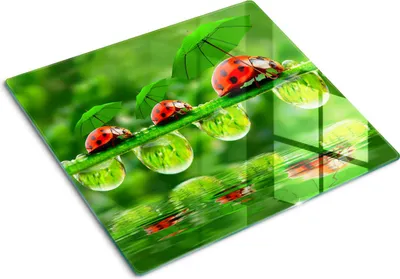 Obrázek produktu pro Kryt varné desky – Kryt na indukční desku – Ochranná skleněná deska – 60x52 cm – Skleněné ochranné desky na sporák –Tvrzené sklo –Slunéčko sedmitečné