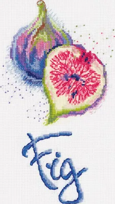 Obrázok produktu pre Výšivací set "Vijg", vzor na plátne, 16x22,5 cm