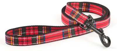 Productafbeelding van Ancol nylon tartankoord, rood (1 meter x 19 mm)