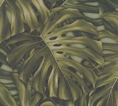 Produktbild von Tapete Aleix Botanical Dschungel M1-No.11299 Vlies Grün Schwarz Tadessi 10.05 m x 0.53 m