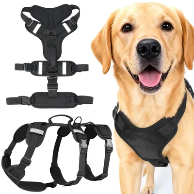 Produktbild von Hundegeschirr Ausbruchsicher mit Griff Reflektierend Verstellbar Schwarz L