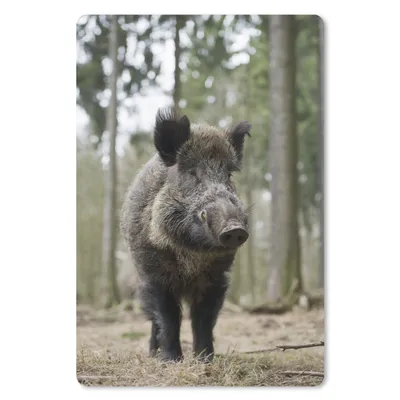 Produktbild von MuchoWow® Mauspad Mousepad Wildschwein - Tier - Wald 18x27 cm - Mousepads - Maus Mat - Pad - Mausunterlage