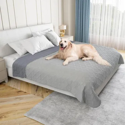 Image de Couverture imperméable pour chiens - 97 x 190 cm - lavable - couverture douce et réversible pour chiots - anti-rayures - anti-salissures - pour lit, canapé et meubles - gris clair et gris foncé