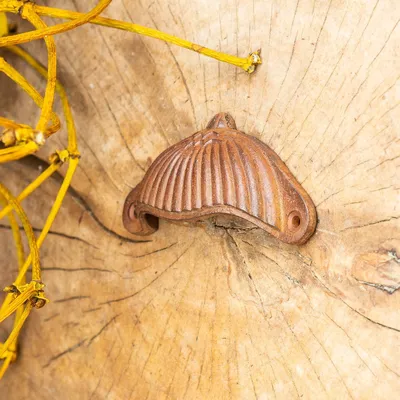 Produktbild von Apothekergriff, Muschelgriffe, Schalengriffe, Möbelgriff aus Gusseisen