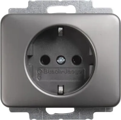 Produktbild von Busch-Jaeger SCHUKO® Steckdosen-Einsatz Busch-Jaeger 20 EUC-20 platin, 1 Stk.