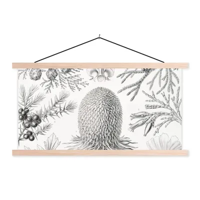 Produktbild von MuchoWow® Textilposter Koniferen - Ernst Haeckel - Kunst - Retro - Illustration - Natur 60x30 cm mit holzfarbenen Rahmen - Dekoration