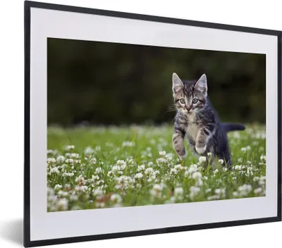 Produktbild von MuchoWow® MuchoWow® Gerahmtes Poster Ein Kätzchen in einem Kleefeld 40x30 cm - Poster mit zchwarzem Bilderrahmen - Bilderrahmen - Poster im Rahmen