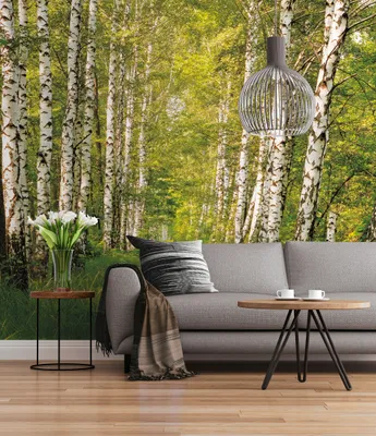 Produktbild von Papier Fototapete - Birkenwald - Größe 368 x 254 cm