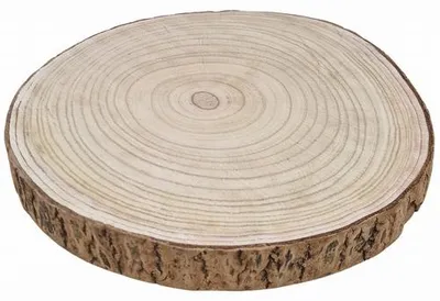 Produktbild von Hobbygroep Holz Baumscheibe Dekoration Natur Paulownia 35 cm Rinde