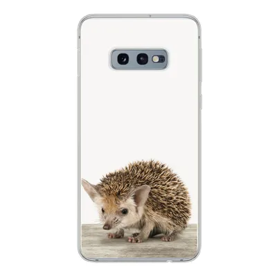 Produktbild von MuchoWow® Handyhülle Schutzhülle Hülle für Samsung Galaxy S10e Igel - Tiere - Jungen - Mädchen Silikon Softcase Handy Hülle - Handy