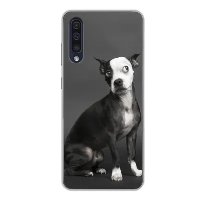 Produktbild von MuchoWow® Handyhülle Schutzhülle Hülle für Samsung Galaxy A50 Hund - Spot - Porträt Silikon Softcase Handy Hülle