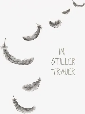 Produktbild von Trauer – Beileid - Kondolenzkarte im Format 11,5 x 17 cm mit