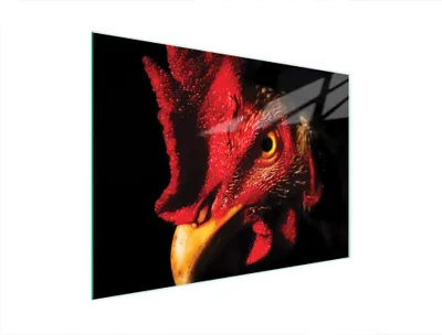 Produktbild von Schneidebrett aus gehärtetem Glas 40x30 cm, Herdschutzplatte mit rutschfesten Silikonfüßen
